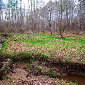 Photo #7 of SOLD property in Off Oak Tree Lane , Henderson, NC 2.7 acres