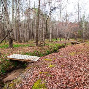 Photo #8 of SOLD property in Off Oak Tree Lane , Henderson, NC 2.7 acres