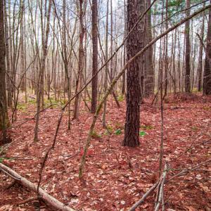 Photo #9 of SOLD property in Off Oak Tree Lane , Henderson, NC 2.7 acres
