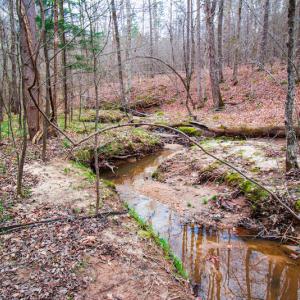 Photo #12 of SOLD property in Off Oak Tree Lane , Henderson, NC 2.7 acres