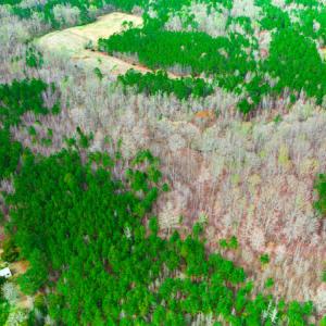 Photo #13 of SOLD property in Off Oak Tree Lane , Henderson, NC 2.7 acres