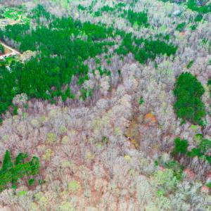 Photo #14 of SOLD property in Off Oak Tree Lane , Henderson, NC 2.7 acres