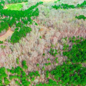 Photo #15 of SOLD property in Off Oak Tree Lane , Henderson, NC 2.7 acres