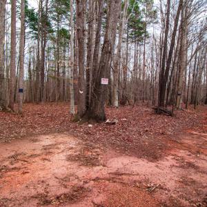 Photo #4 of SOLD property in Off Oak Tree Lane , Henderson, NC 2.7 acres