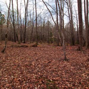 Photo #6 of SOLD property in Off Oak Tree Lane , Henderson, NC 2.7 acres