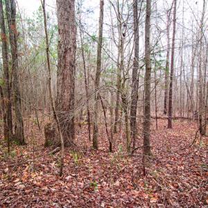 Photo #7 of SOLD property in Off Oak Tree Lane , Henderson, NC 2.7 acres