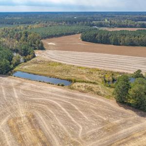 Photo #8 of Off Bailey Road , Fairmont, NC 29.0 acres