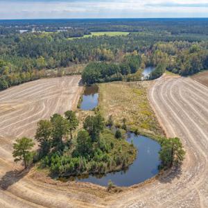 Photo #9 of Off Bailey Road , Fairmont, NC 29.0 acres