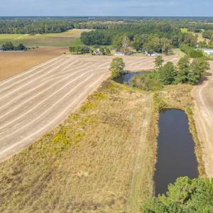 Photo #10 of Off Bailey Road , Fairmont, NC 29.0 acres