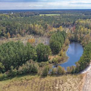 Photo #11 of Off Bailey Road , Fairmont, NC 29.0 acres