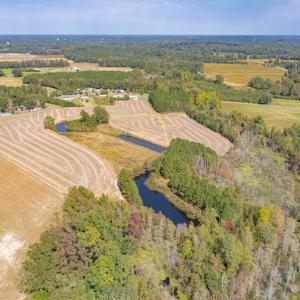 Photo #12 of Off Bailey Road , Fairmont, NC 29.0 acres
