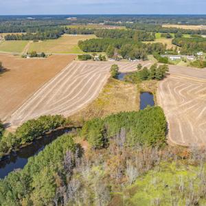 Photo #13 of Off Bailey Road , Fairmont, NC 29.0 acres