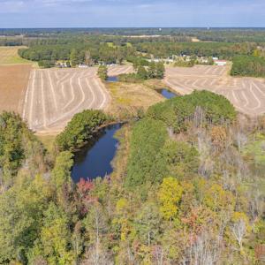 Photo #14 of SOLD property in Off Bailey Road , Fairmont, NC 29.0 acres