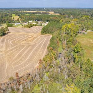 Photo #15 of SOLD property in Off Bailey Road , Fairmont, NC 29.0 acres