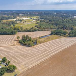 Photo #17 of Off Bailey Road , Fairmont, NC 29.0 acres