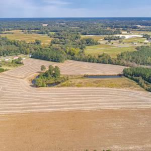 Photo #18 of SOLD property in Off Bailey Road , Fairmont, NC 29.0 acres