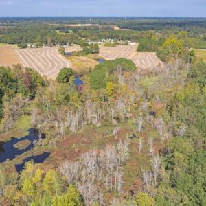Photo #19 of Off Bailey Road , Fairmont, NC 29.0 acres