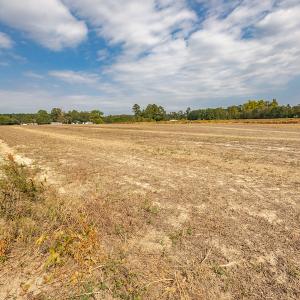 Photo #20 of Off Bailey Road , Fairmont, NC 29.0 acres