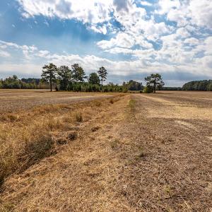 Photo #22 of Off Bailey Road , Fairmont, NC 29.0 acres