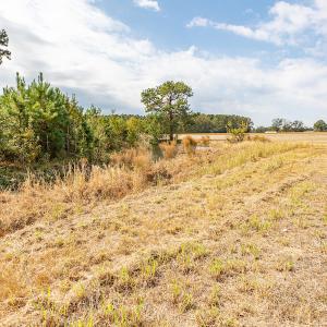 Photo #24 of Off Bailey Road , Fairmont, NC 29.0 acres