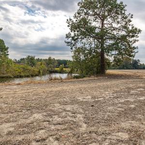 Photo #25 of SOLD property in Off Bailey Road , Fairmont, NC 29.0 acres