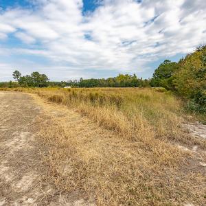 Photo #26 of Off Bailey Road , Fairmont, NC 29.0 acres