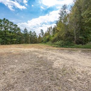 Photo #27 of SOLD property in Off Bailey Road , Fairmont, NC 29.0 acres