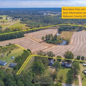 Photo #2 of SOLD property in Off Bailey Road , Fairmont, NC 29.0 acres