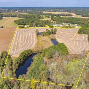 Photo #3 of SOLD property in Off Bailey Road , Fairmont, NC 29.0 acres