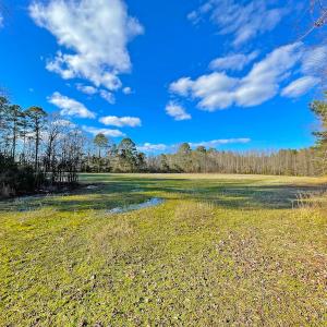 Photo #11 of SOLD property in 7362 Colonial Trail East, Surry, VA 23883 / Surry County, Surry, VA 22.4 acres