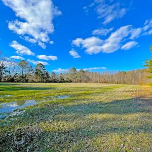 Photo #12 of SOLD property in 7362 Colonial Trail East, Surry, VA 23883 / Surry County, Surry, VA 22.4 acres