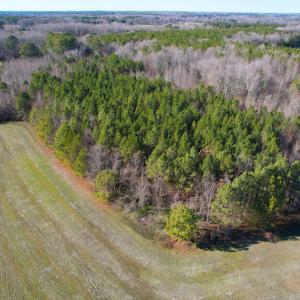 Photo #13 of SOLD property in 7362 Colonial Trail East, Surry, VA 23883 / Surry County, Surry, VA 22.4 acres