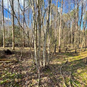Photo #14 of SOLD property in 7362 Colonial Trail East, Surry, VA 23883 / Surry County, Surry, VA 22.4 acres