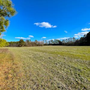 Photo #19 of SOLD property in 7362 Colonial Trail East, Surry, VA 23883 / Surry County, Surry, VA 22.4 acres