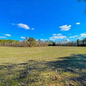 Photo #20 of SOLD property in 7362 Colonial Trail East, Surry, VA 23883 / Surry County, Surry, VA 22.4 acres