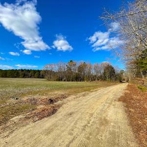 Photo #6 of SOLD property in 7362 Colonial Trail East, Surry, VA 23883 / Surry County, Surry, VA 22.4 acres