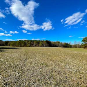 Photo #8 of SOLD property in 7362 Colonial Trail East, Surry, VA 23883 / Surry County, Surry, VA 22.4 acres