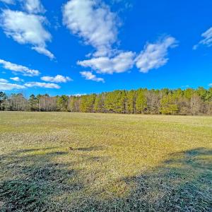 Photo #9 of SOLD property in 7362 Colonial Trail East, Surry, VA 23883 / Surry County, Surry, VA 22.4 acres