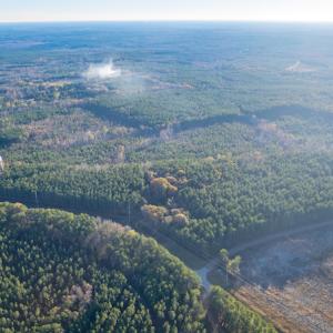 Photo #9 of SOLD property in Off Country Club Lane , Warrenton, NC 62.0 acres