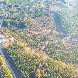 Photo #10 of SOLD property in Off Country Club Lane , Warrenton, NC 62.0 acres