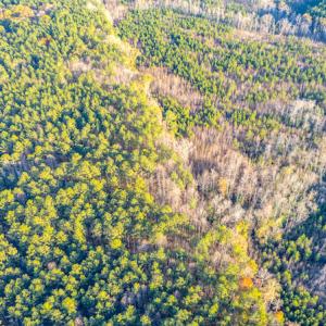 Photo #11 of Off Country Club Lane , Warrenton, NC 62.0 acres