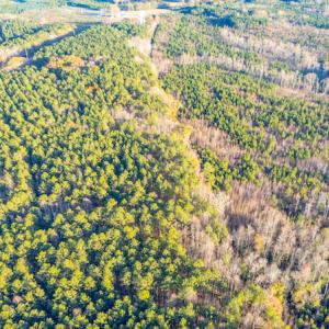 Photo #12 of Off Country Club Lane , Warrenton, NC 62.0 acres
