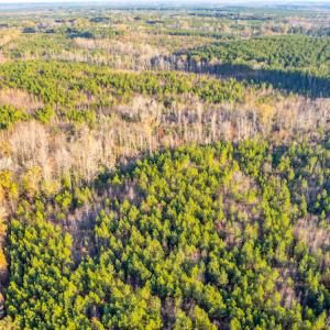 Photo #13 of Off Country Club Lane , Warrenton, NC 62.0 acres