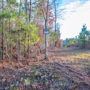 Photo #14 of SOLD property in Off Country Club Lane , Warrenton, NC 62.0 acres