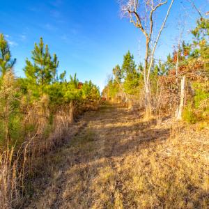 Photo #16 of Off Country Club Lane , Warrenton, NC 62.0 acres