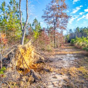 Photo #17 of Off Country Club Lane , Warrenton, NC 62.0 acres