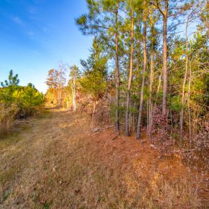 Photo #18 of Off Country Club Lane , Warrenton, NC 62.0 acres