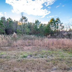 Photo #19 of SOLD property in Off Country Club Lane , Warrenton, NC 62.0 acres