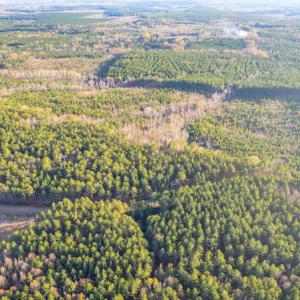 Photo #4 of Off Country Club Lane , Warrenton, NC 62.0 acres