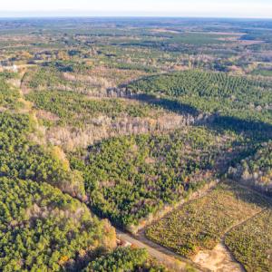 Photo #5 of Off Country Club Lane , Warrenton, NC 62.0 acres